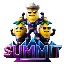 SUMMIT-INR